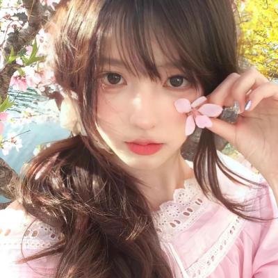 加菲猫家族